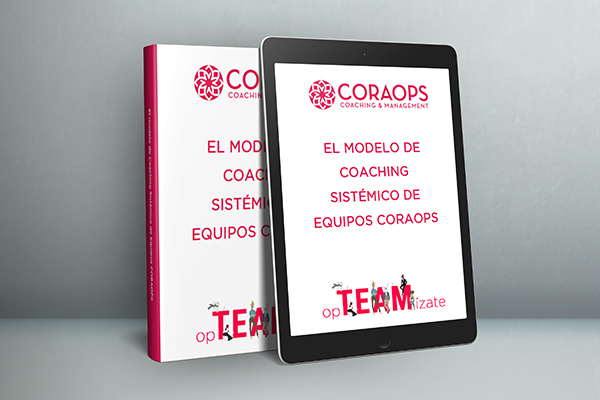 Montaje ebook ModeloSistemico